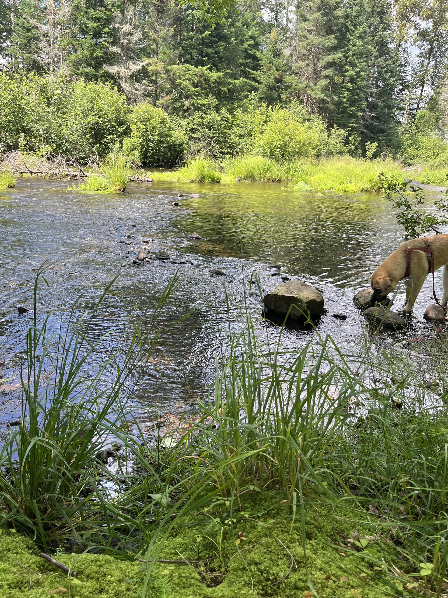 Chez Mel & Nico Camping Insolite