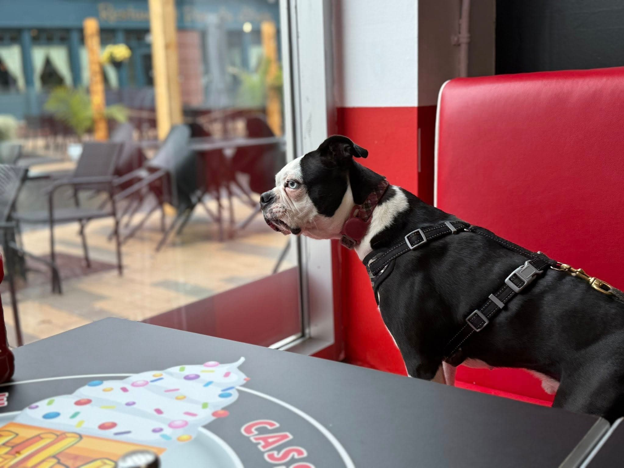 Crémerie et Casse-croûte le Survenant