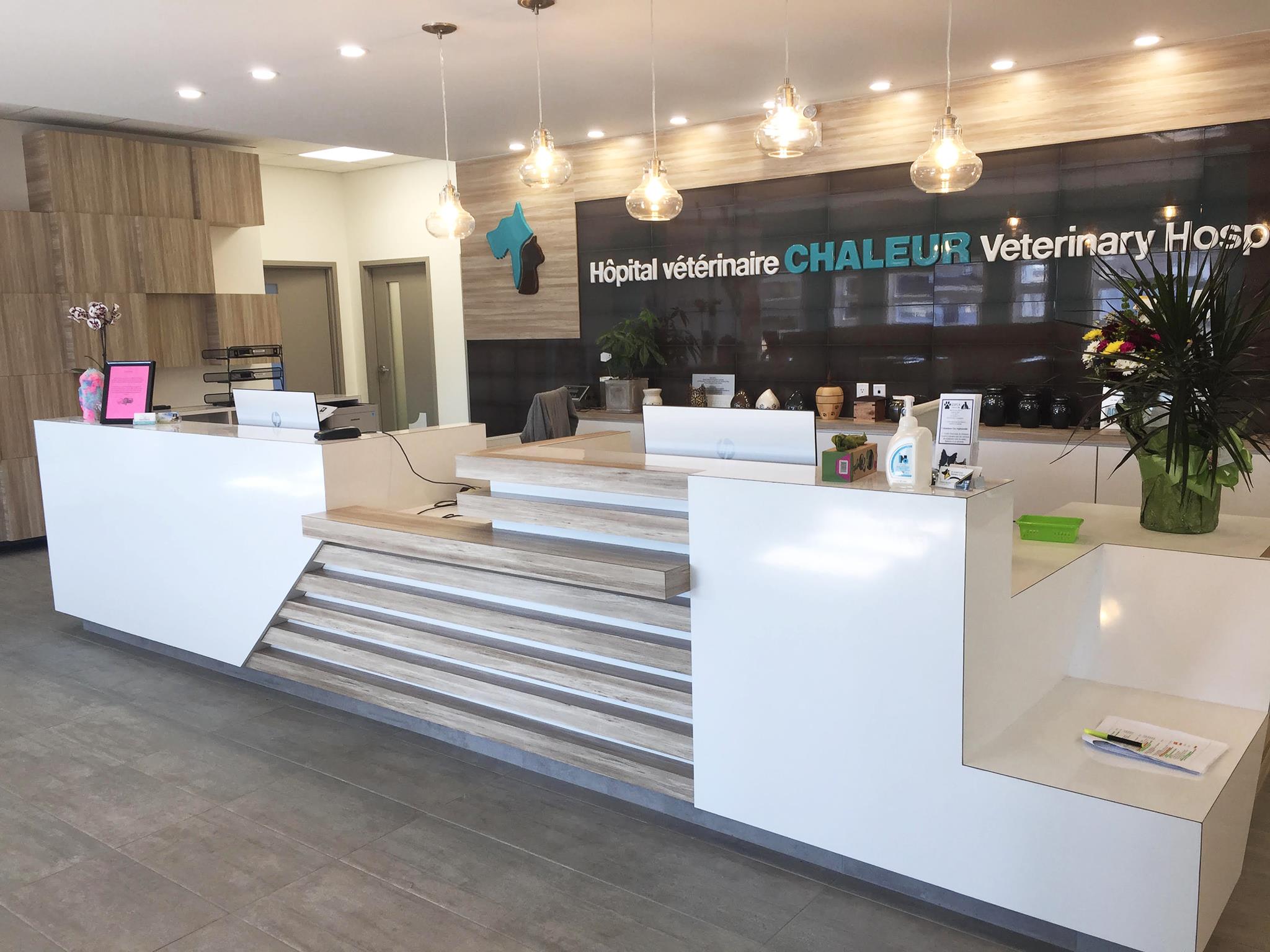 Hôpital Vétérinaire Accès Vet Blainville