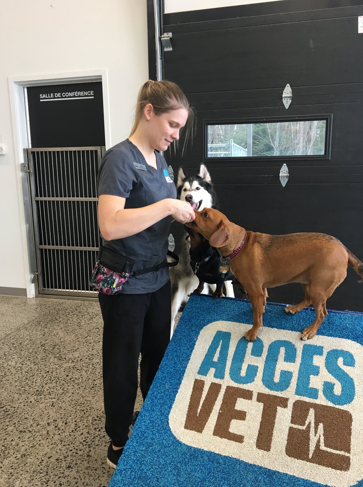 Hôpital Vétérinaire Accès Vet Blainville