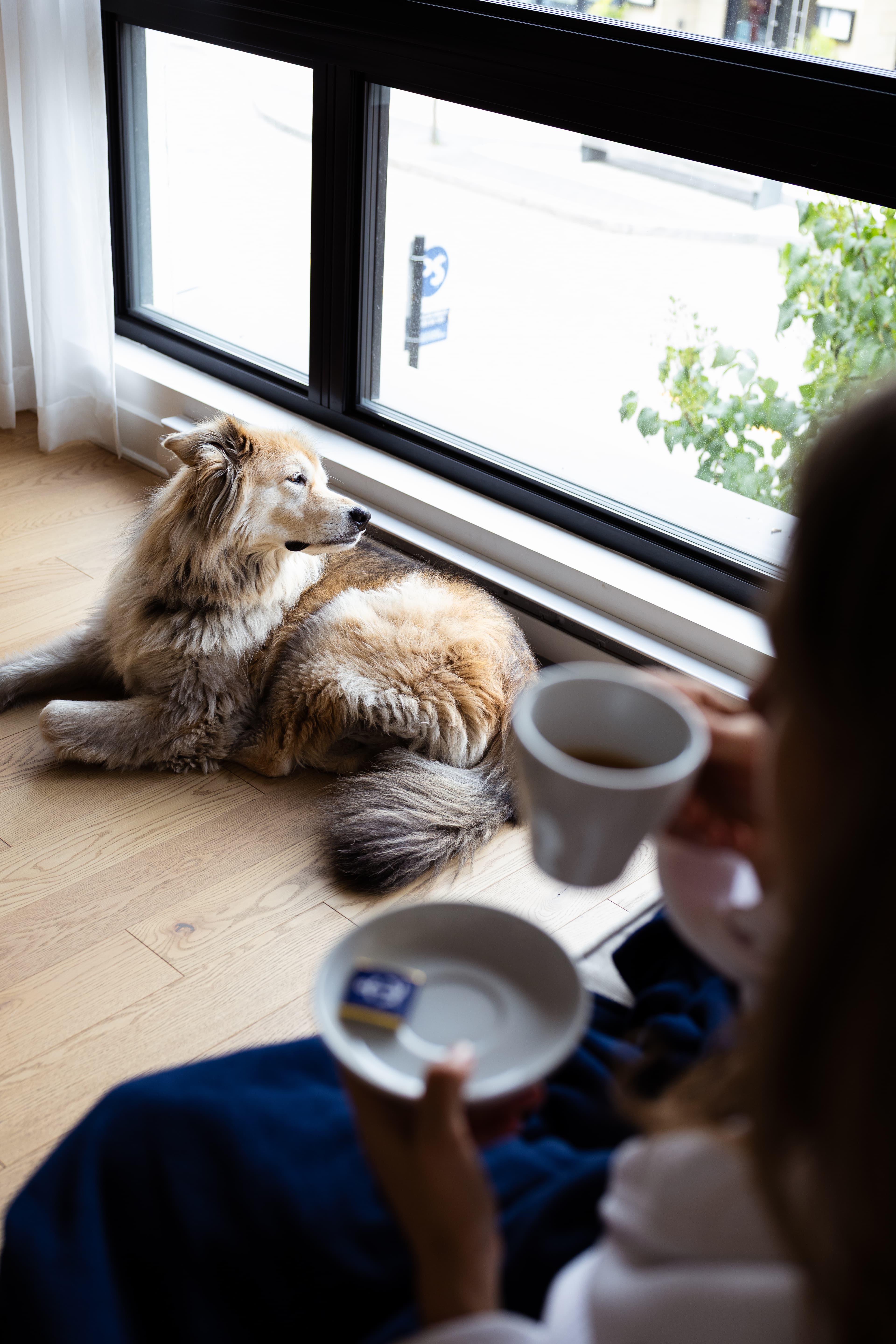 Hôtel Expérience Quartier des Marinas