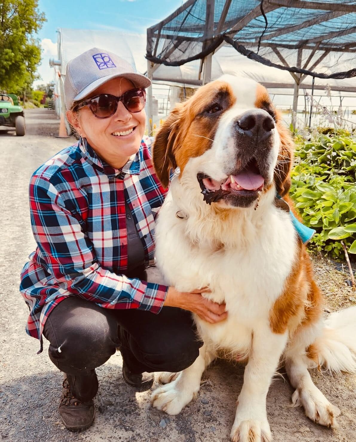 Jardins Michel Corbeil