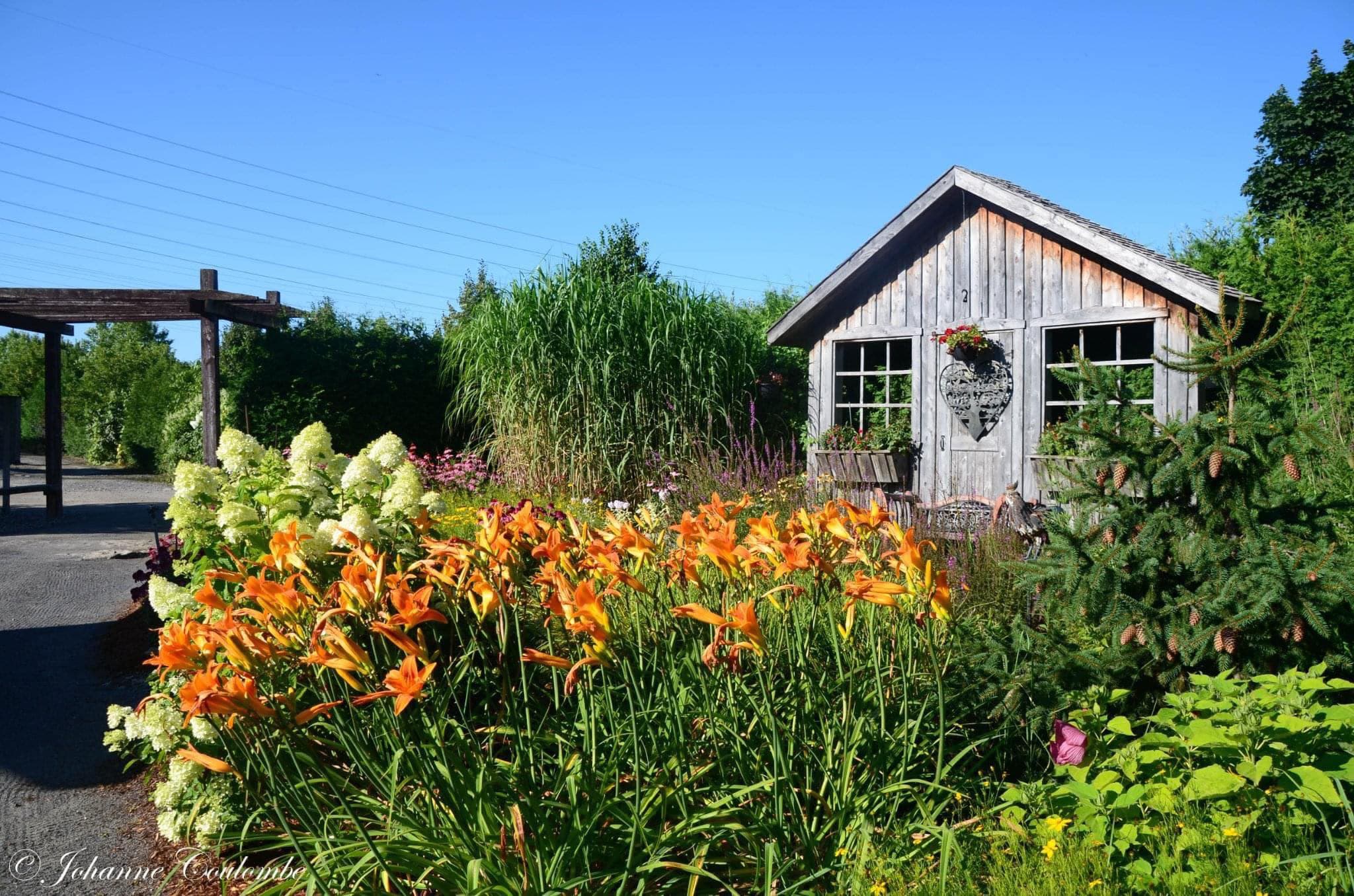Jardins Michel Corbeil