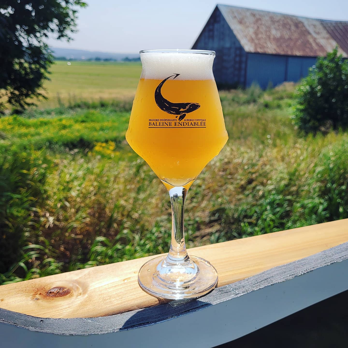 La Baleine Endiablée