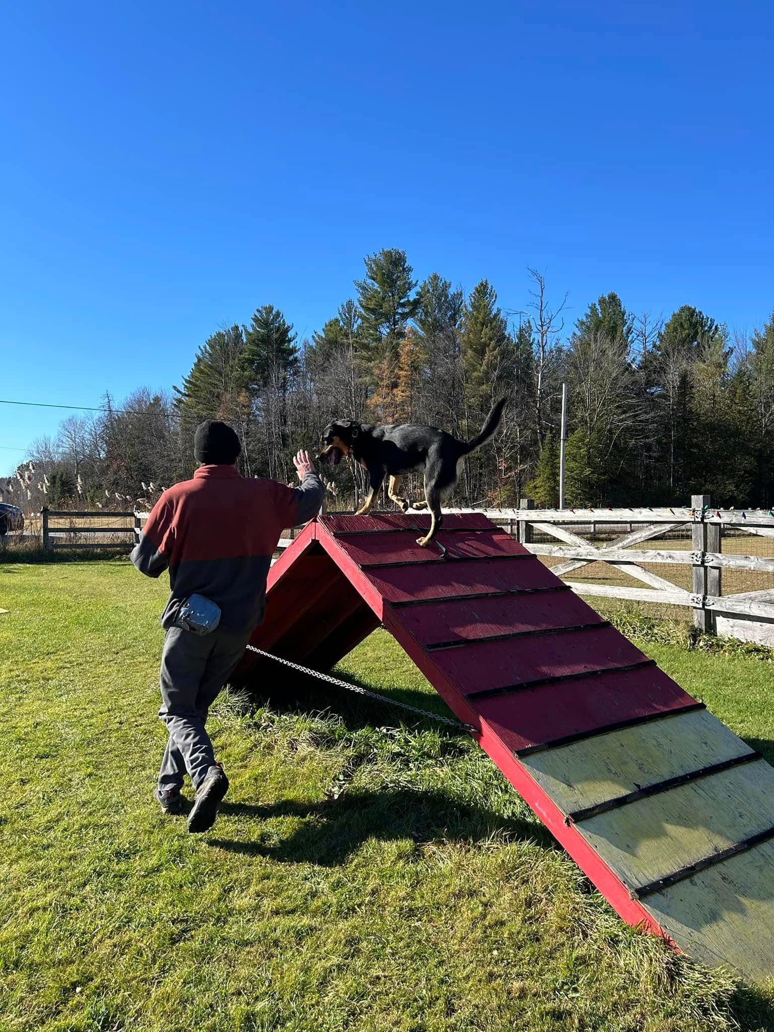 Le Cabotin - Centre Canin