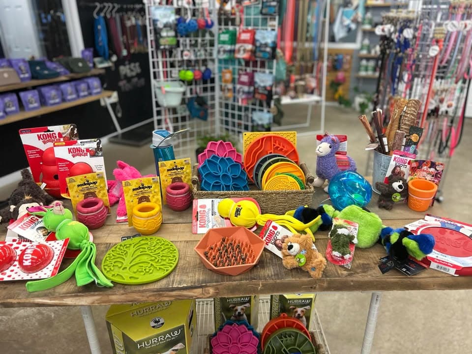 Le Cabotin - Centre Canin