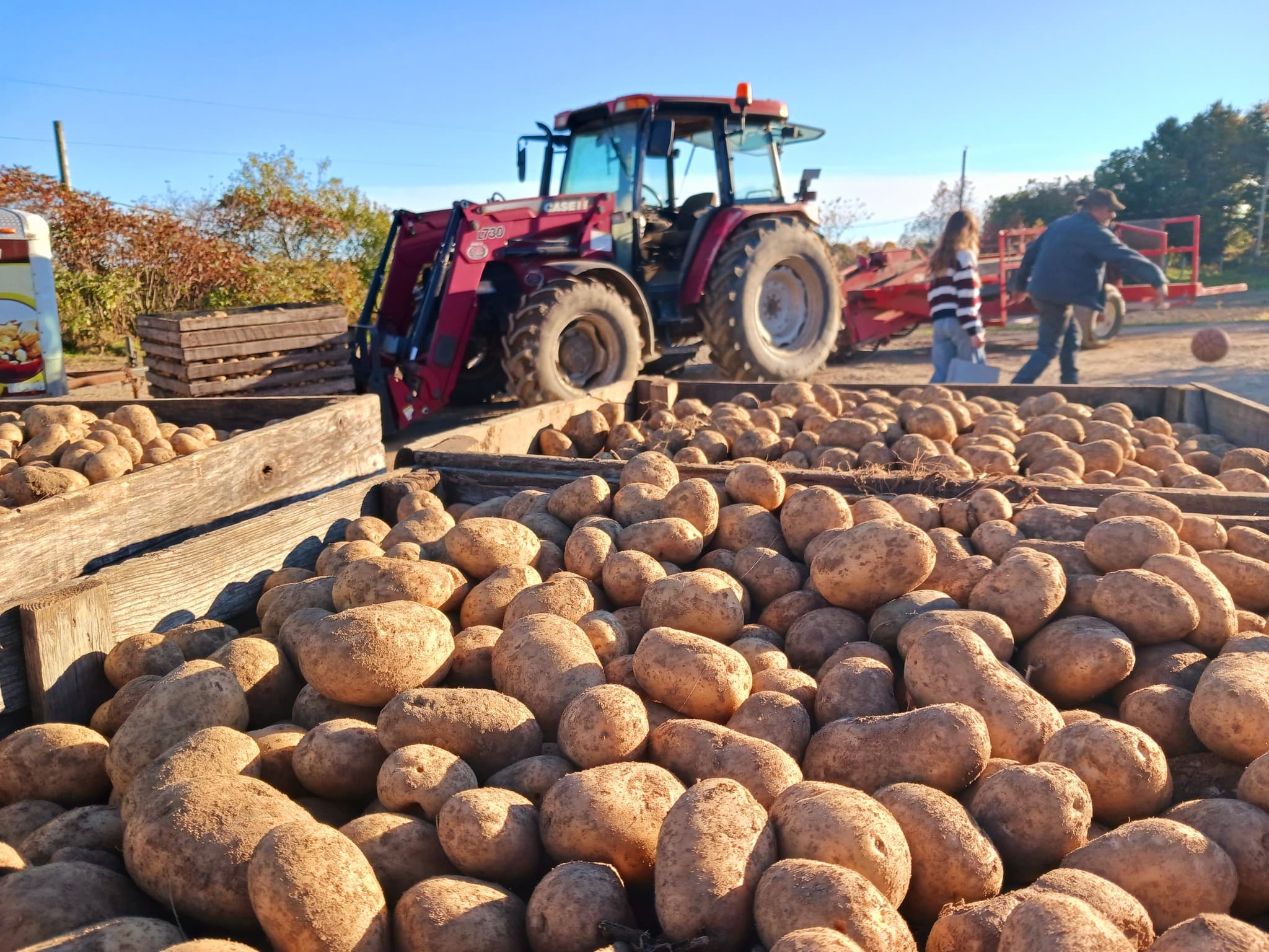 Les Couleurs de la terre