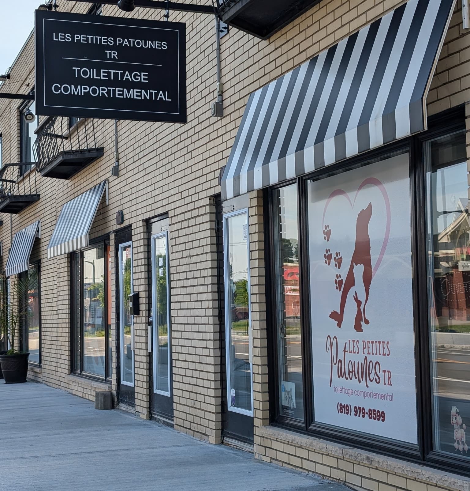 Les petites patounes TR