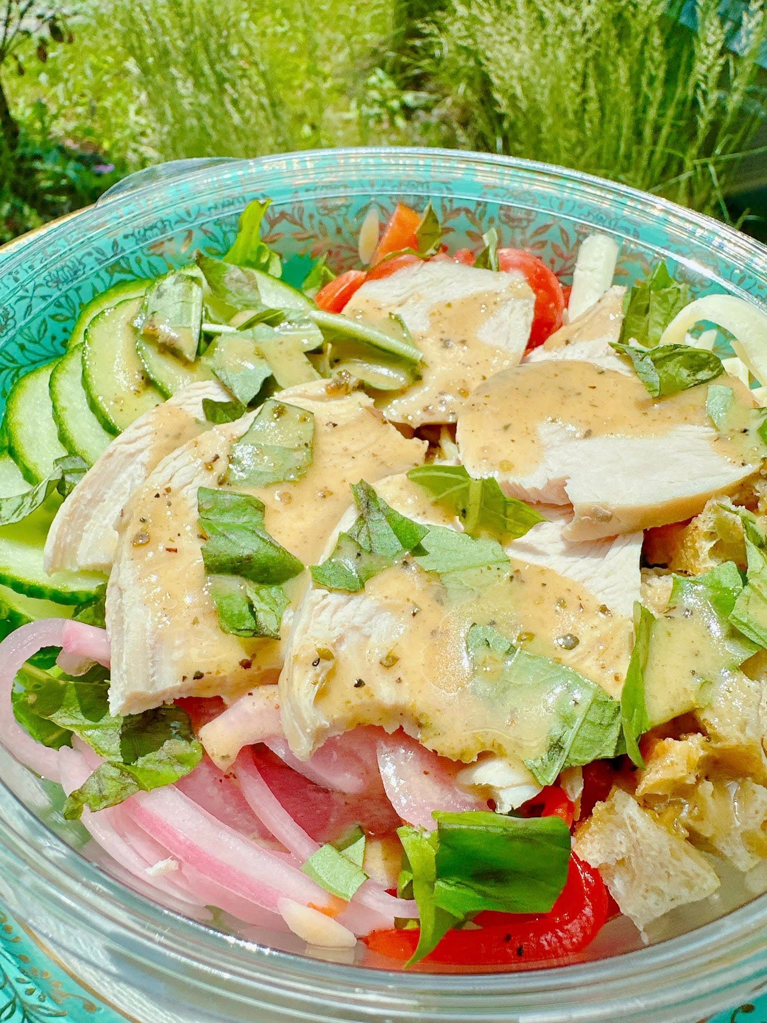 Les Vraies Richesses - Jacques Cartier