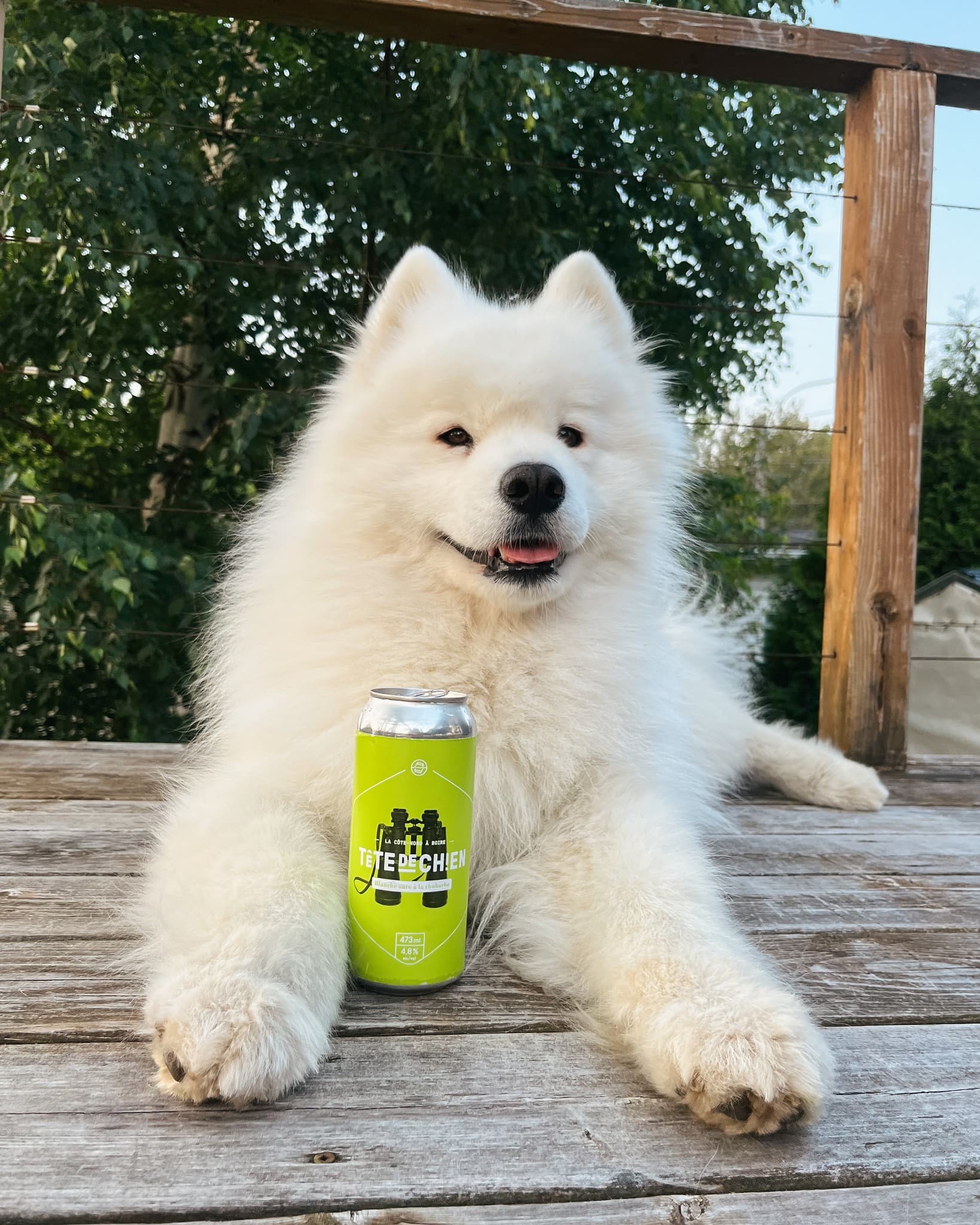 Microbrasserie St-Pancrace