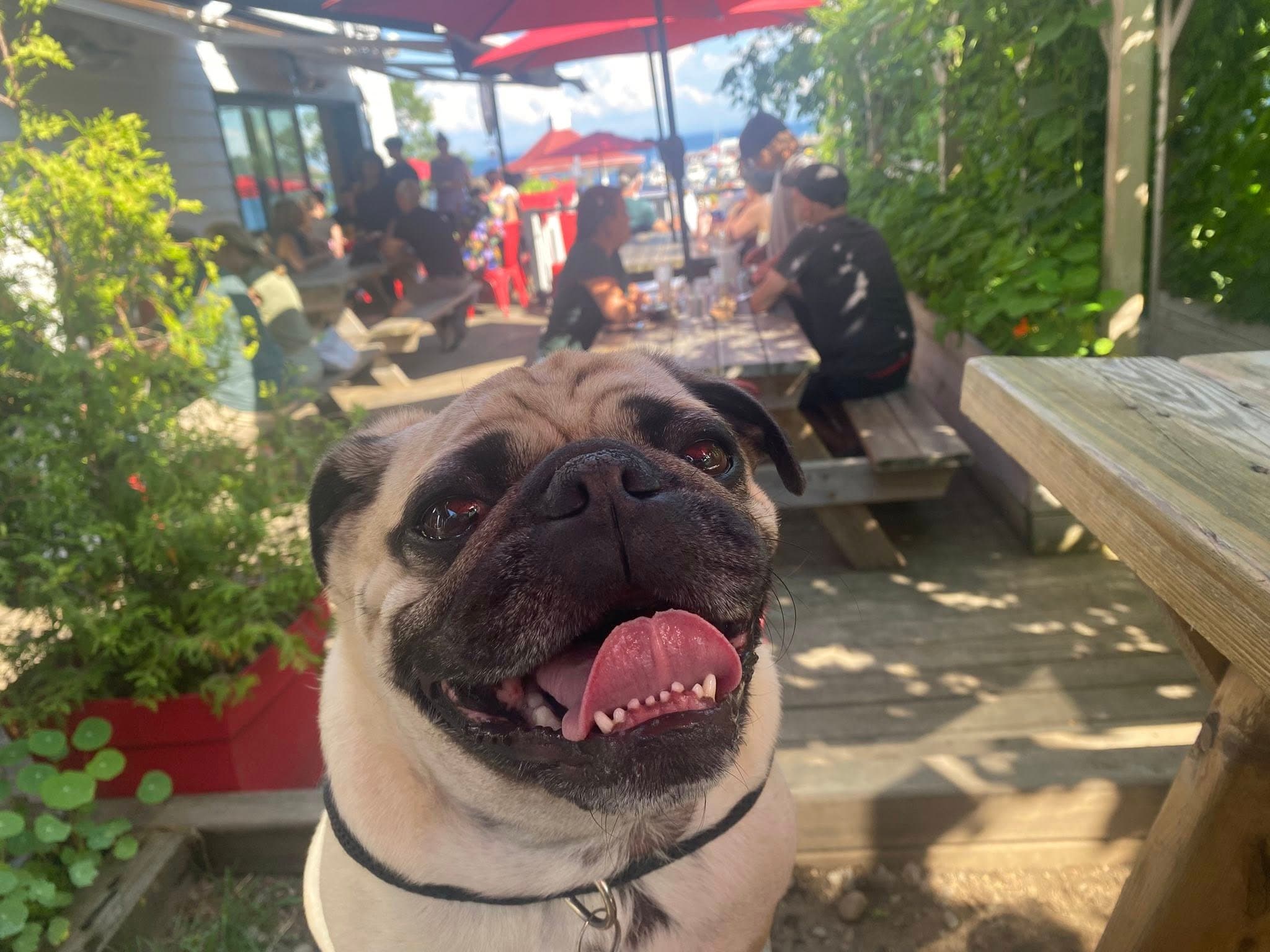 Microbrasserie Tadoussac