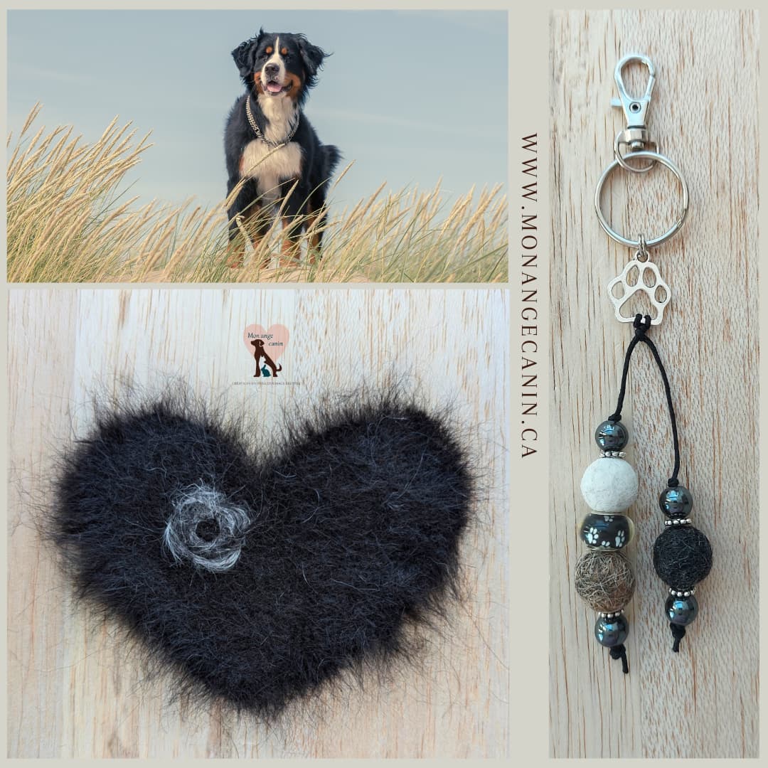 Mon Ange Canin – Créations en poils d’animaux feutrés