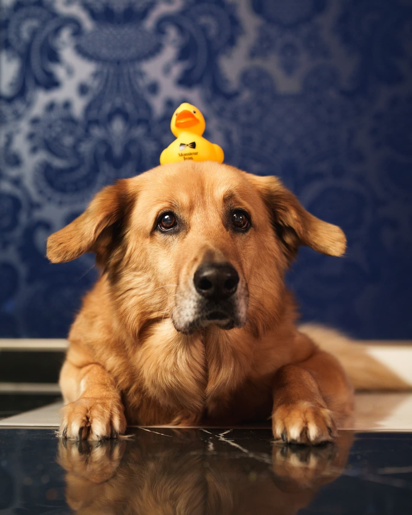 Monsieur Jean - Hôtel Particulier