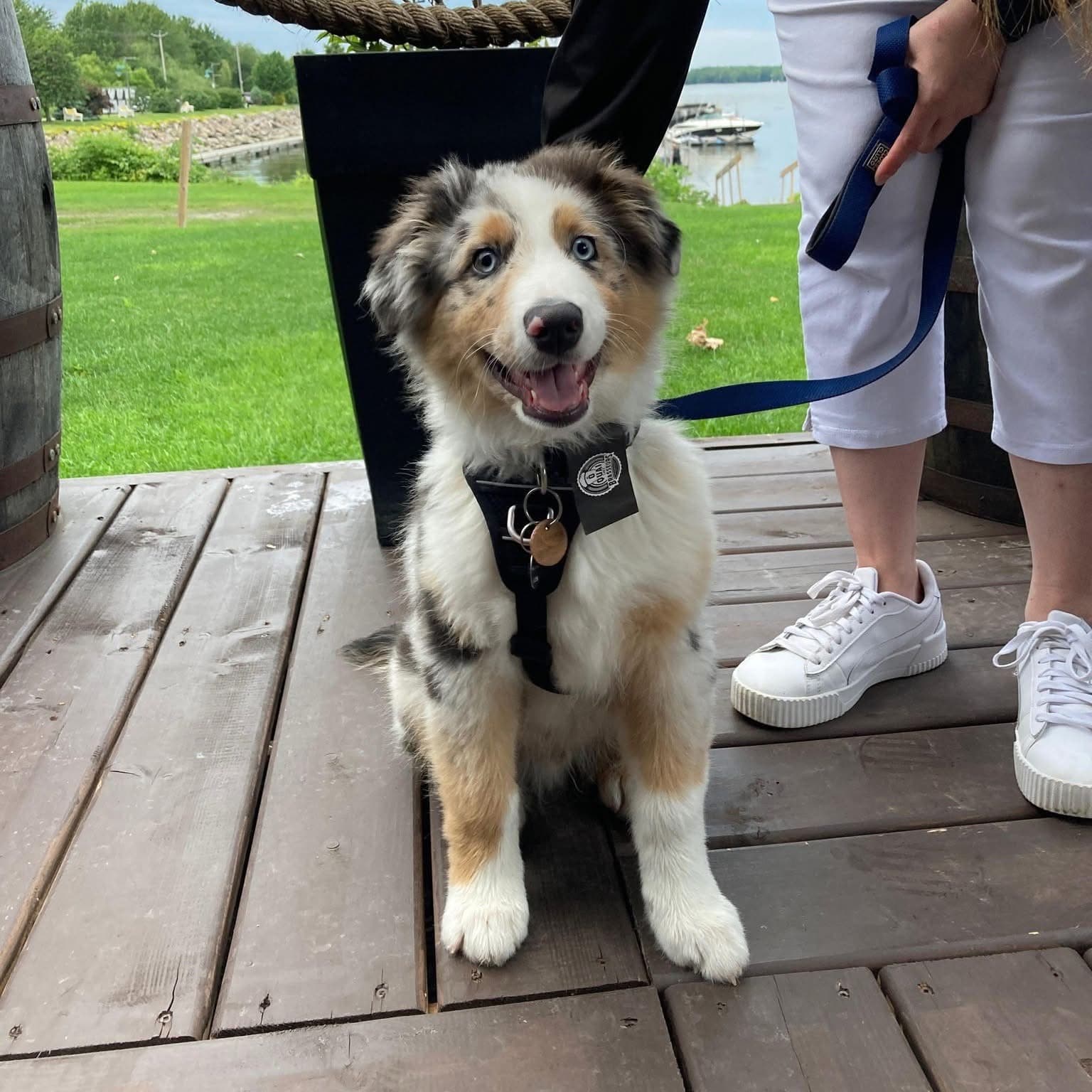 Ô Quai des Brasseurs