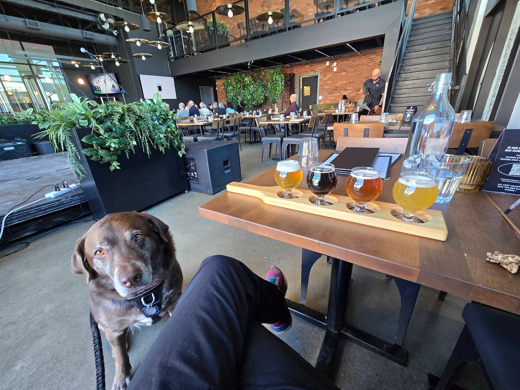 Octave microbrasserie