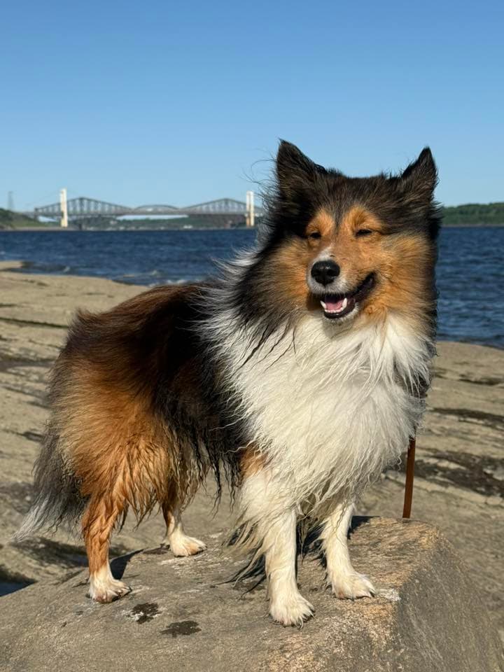 Parc de la Plage-Jacques-Cartier