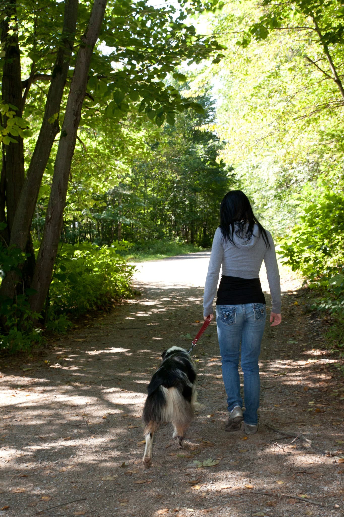 Parc de la rivière Batiscan - Secteur Barrage