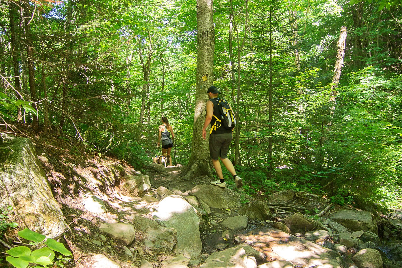 Parc d'environnement naturel de Sutton