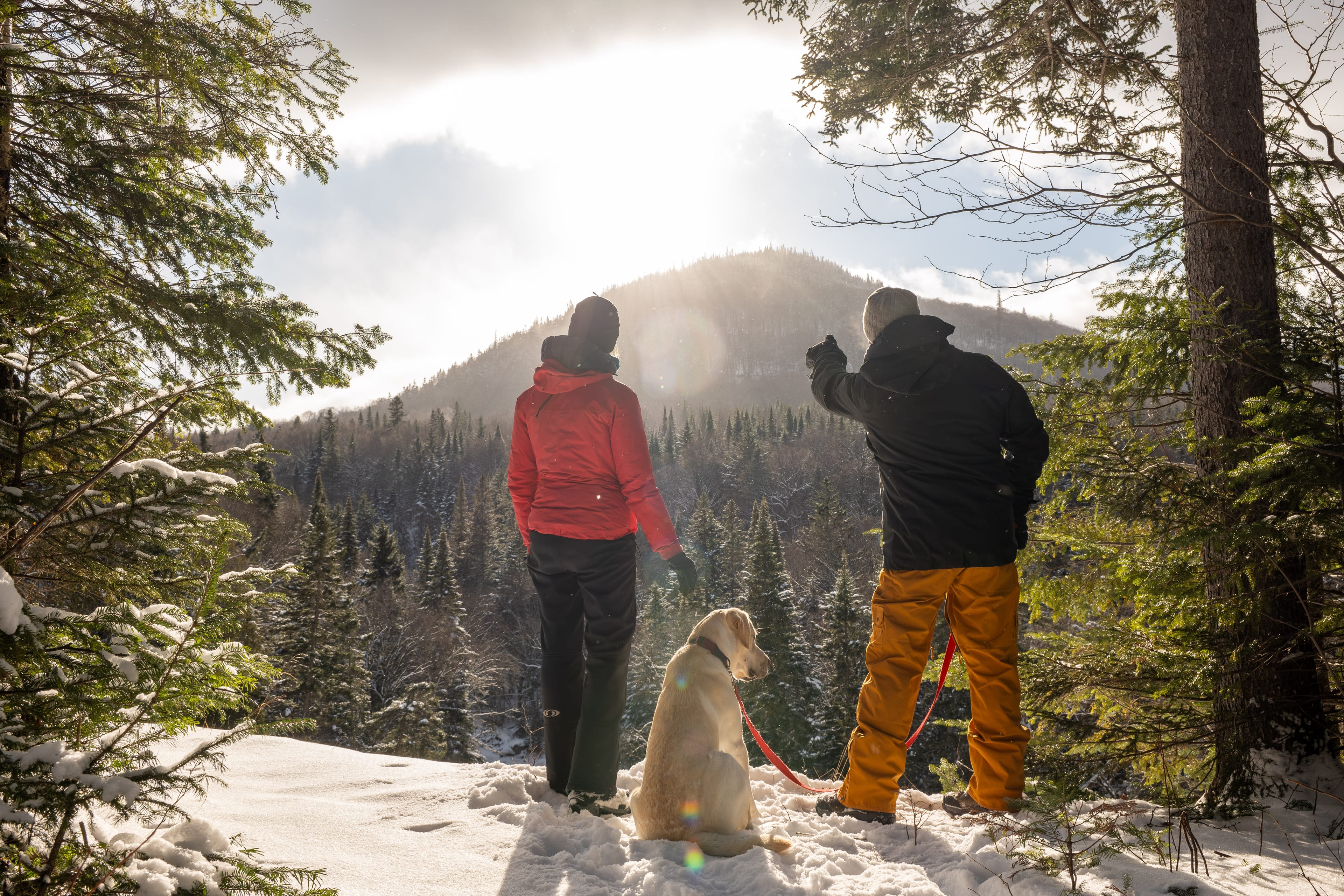 Parc du Massif du Sud