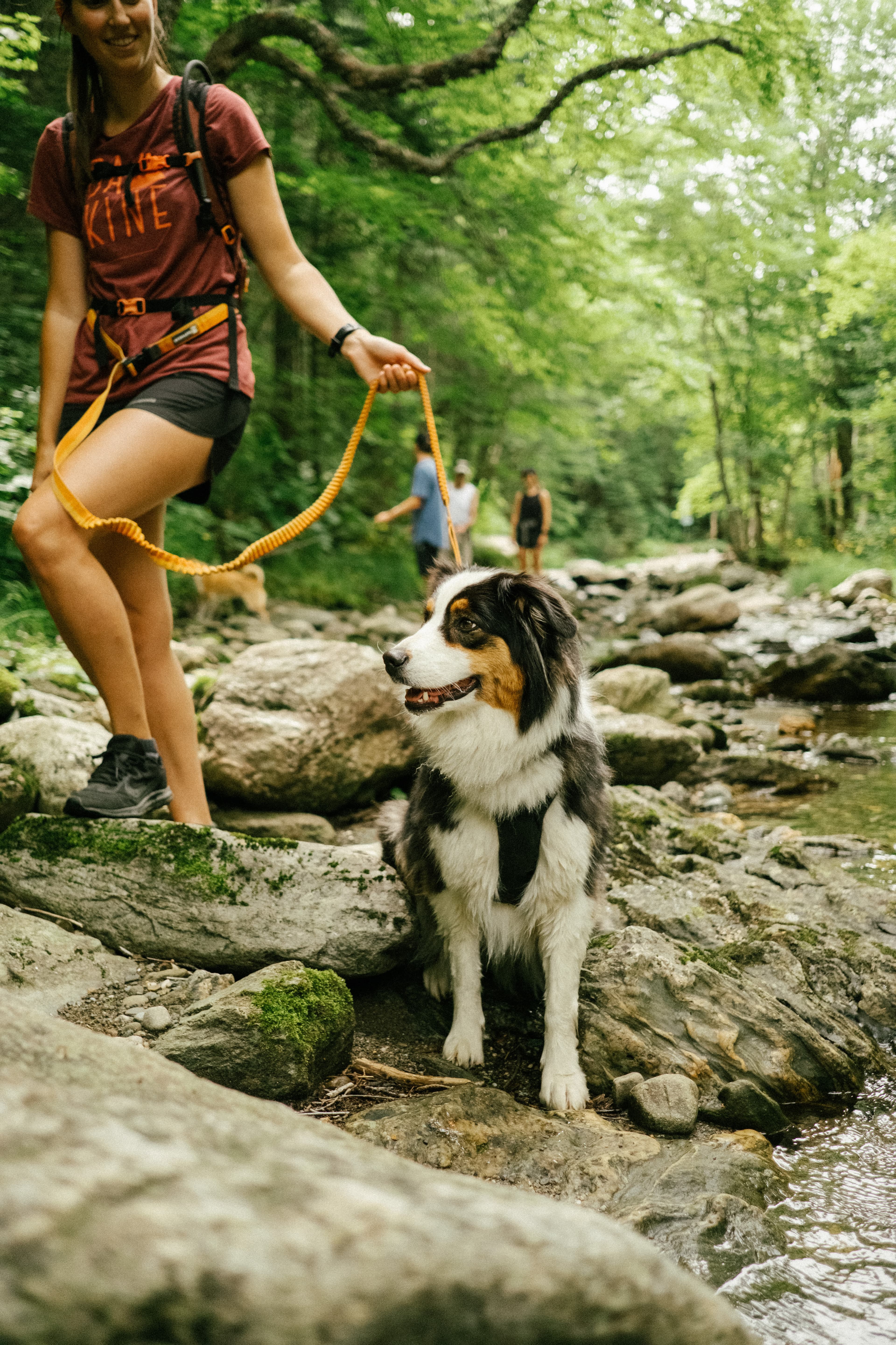 Parc du Massif du Sud
