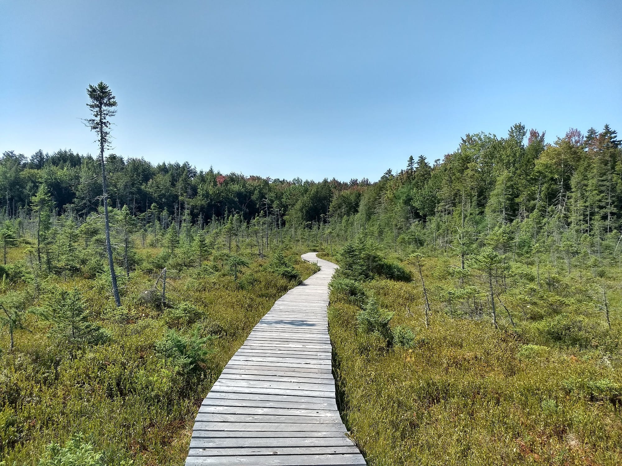 Parc écoforestier de Johnville