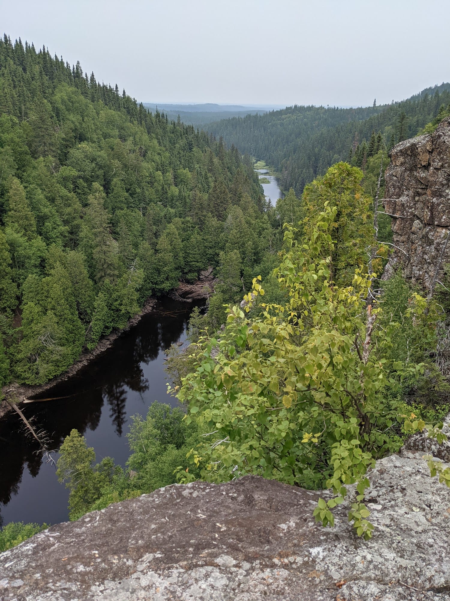 Parc national d'Aiguebelle - Secteur Taschereau