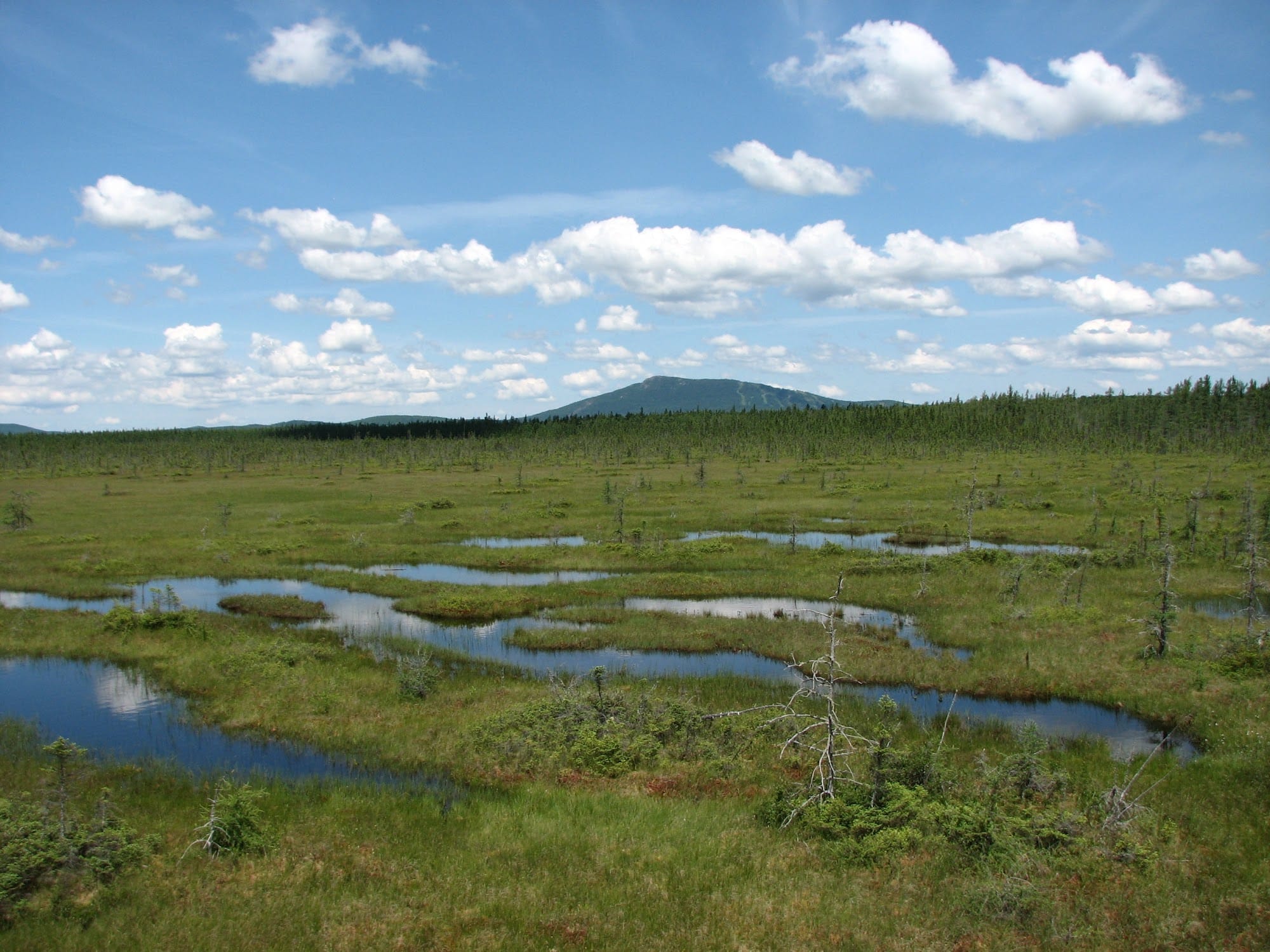Parc national de Frontenac - Secteur Saint-Daniel