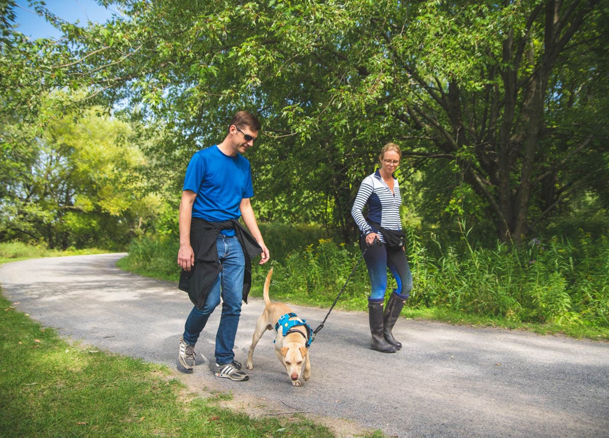 Parc national des Îles-de-Boucherville