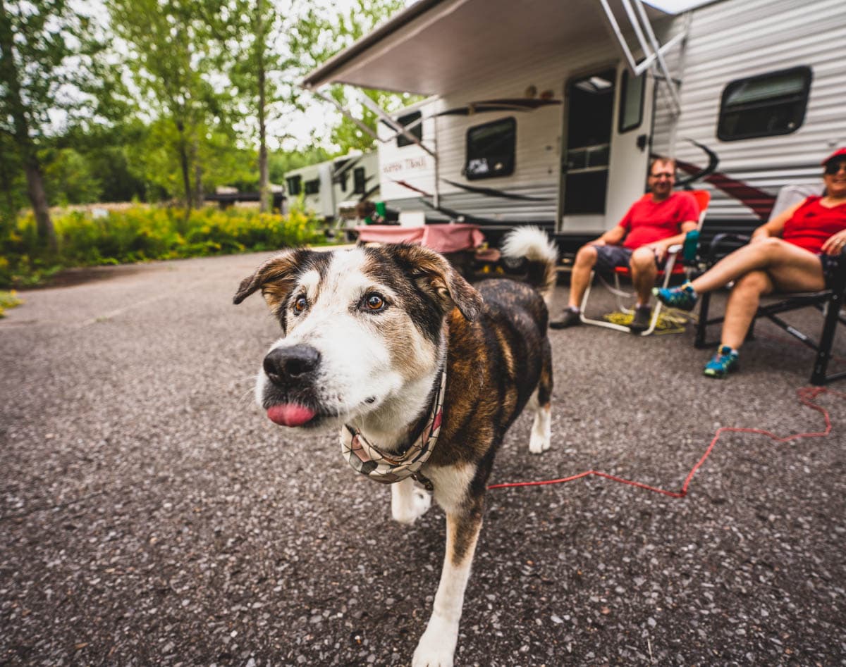 Parc national des Îles-de-Boucherville