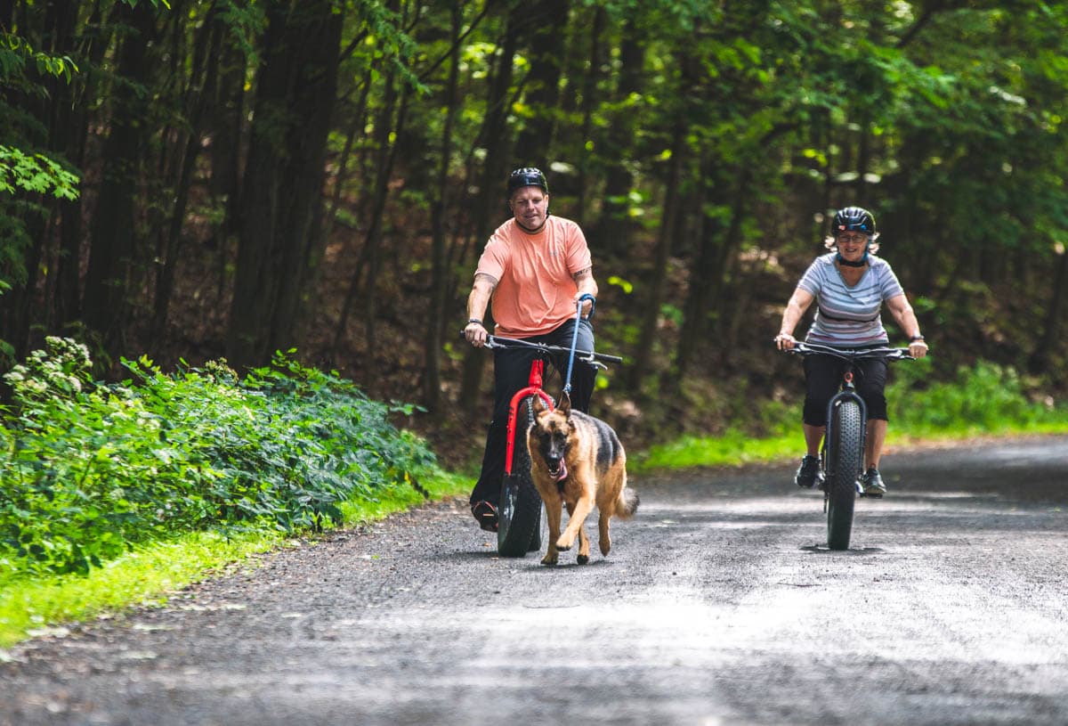 Parc national du Mont-Saint-Bruno