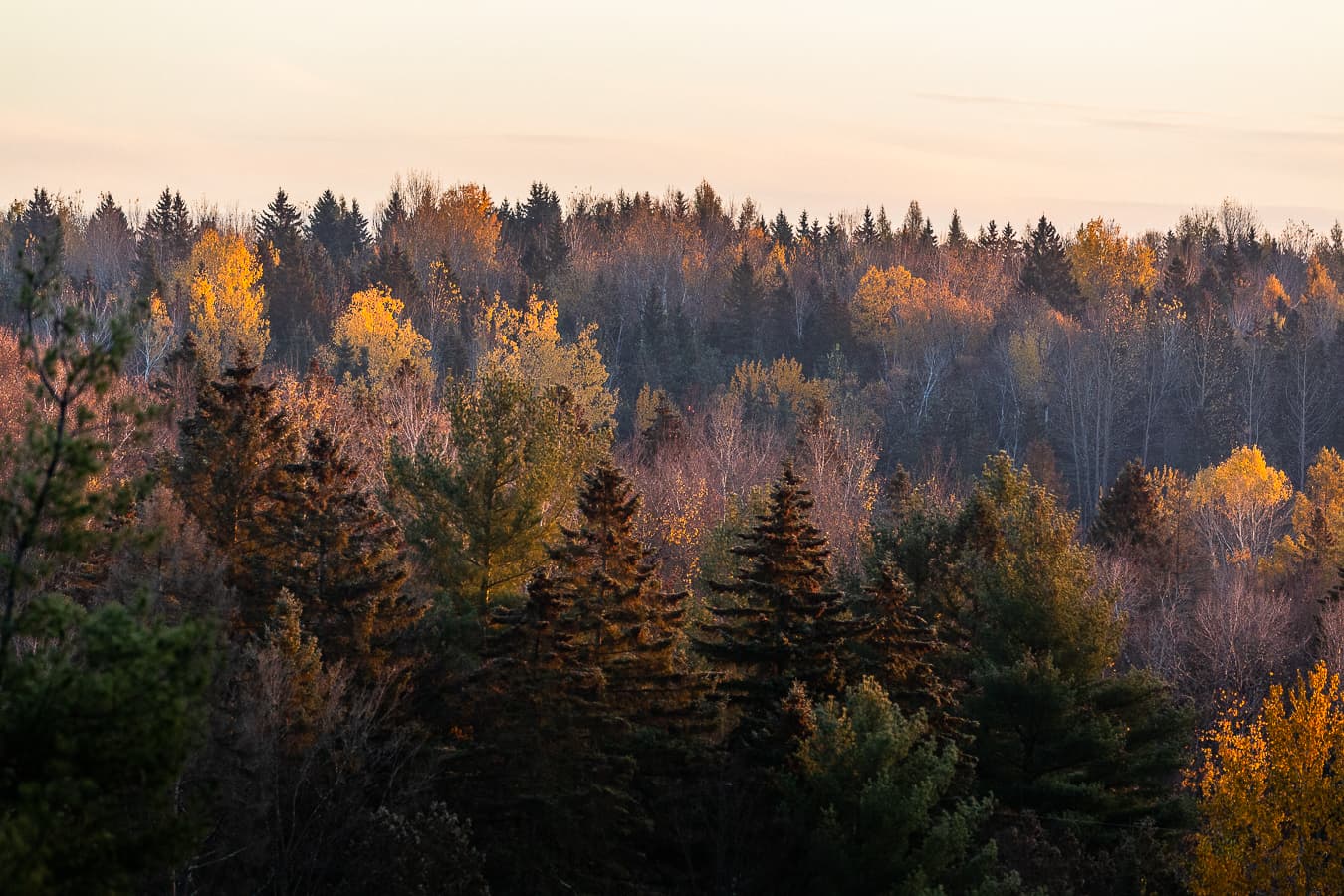 Parc Régional des Chutes Monte-à-Peine-et-des-Dalles - Sainte-Mélanie