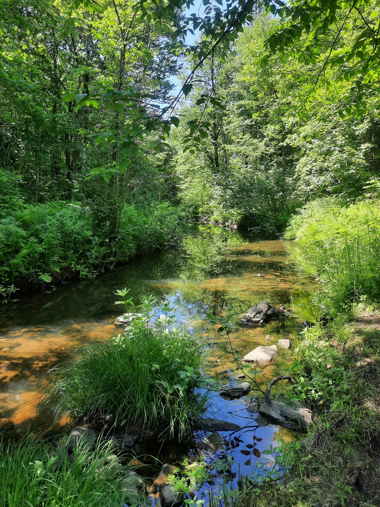 Parc Régional des Chutes Monte-à-Peine-et-des-Dalles - Sainte-Mélanie