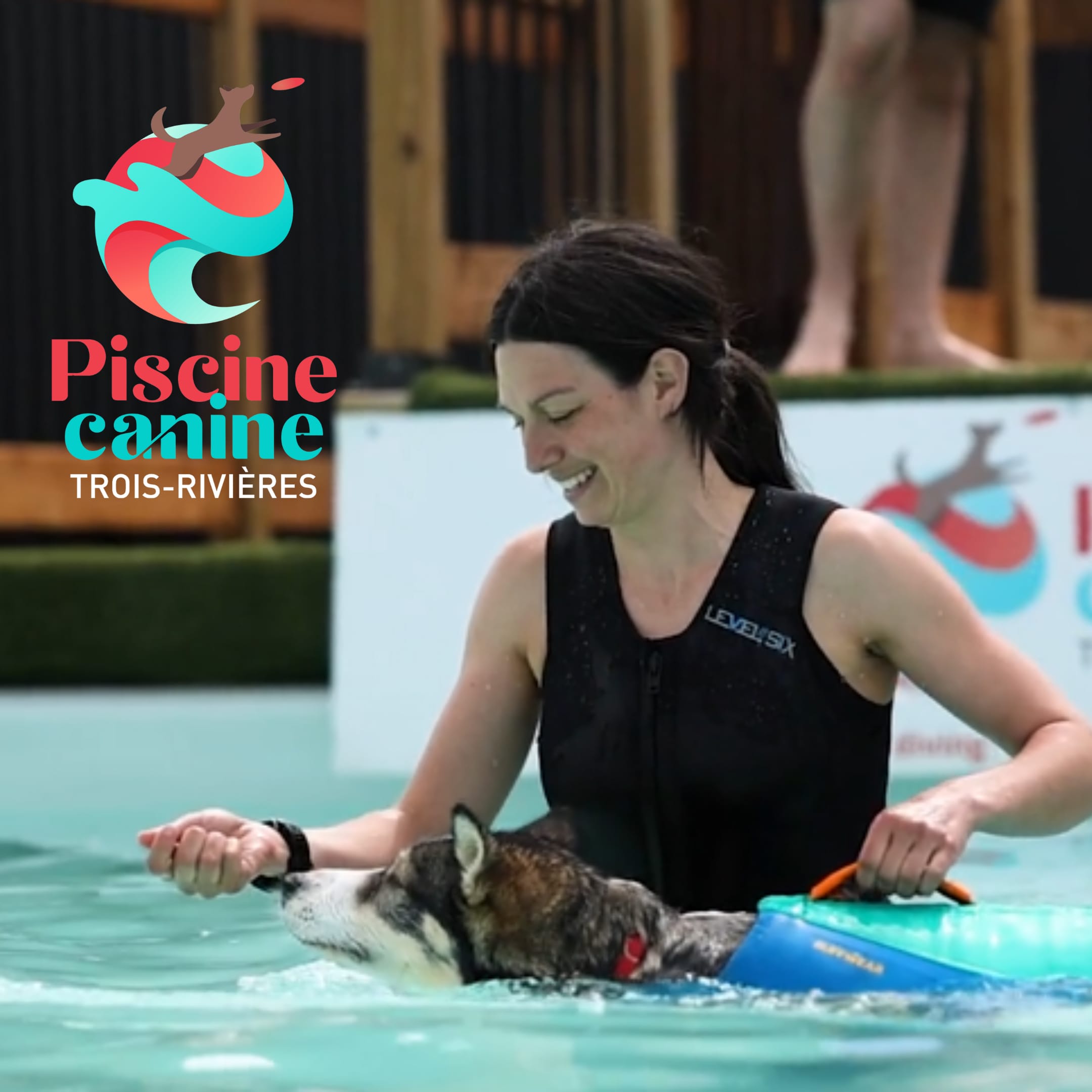 Piscine Canine Trois-Rivières