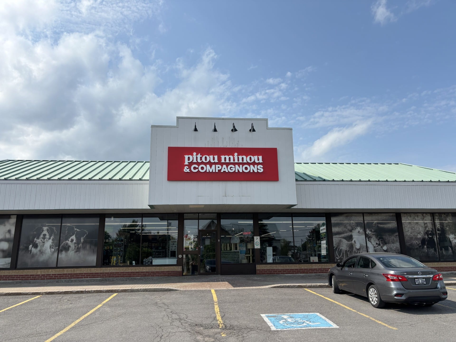 Pitou Minou & Compagnons - Aylmer