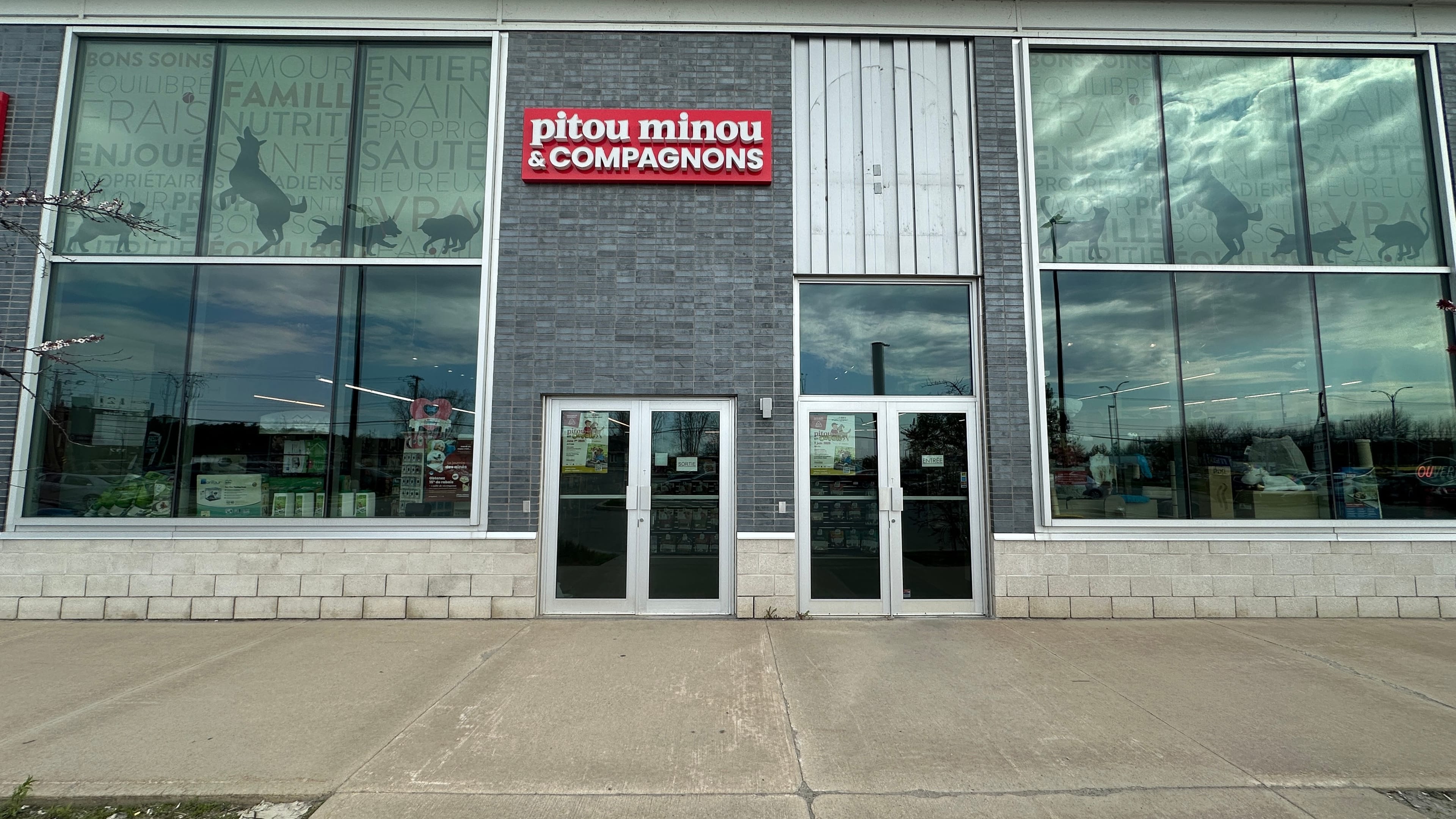 Pitou Minou & Compagnons - Buckingham