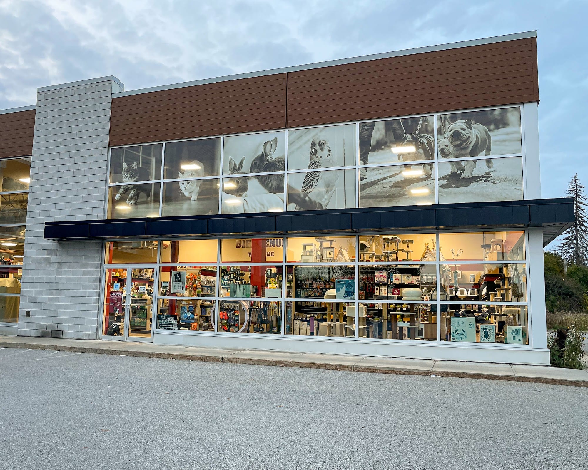 Pitou Minou & Compagnons Hudson