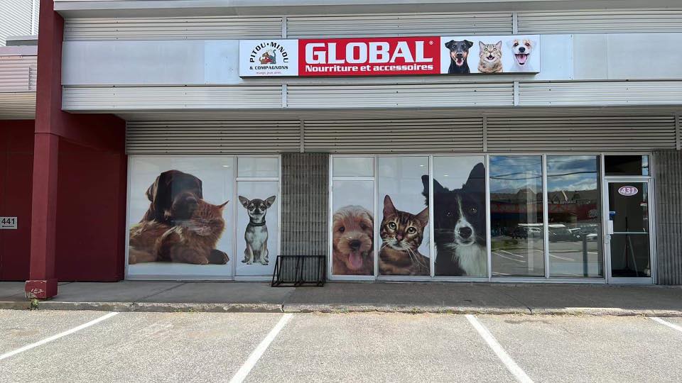 Pitou Minou & Compagnons Trois-Rivières