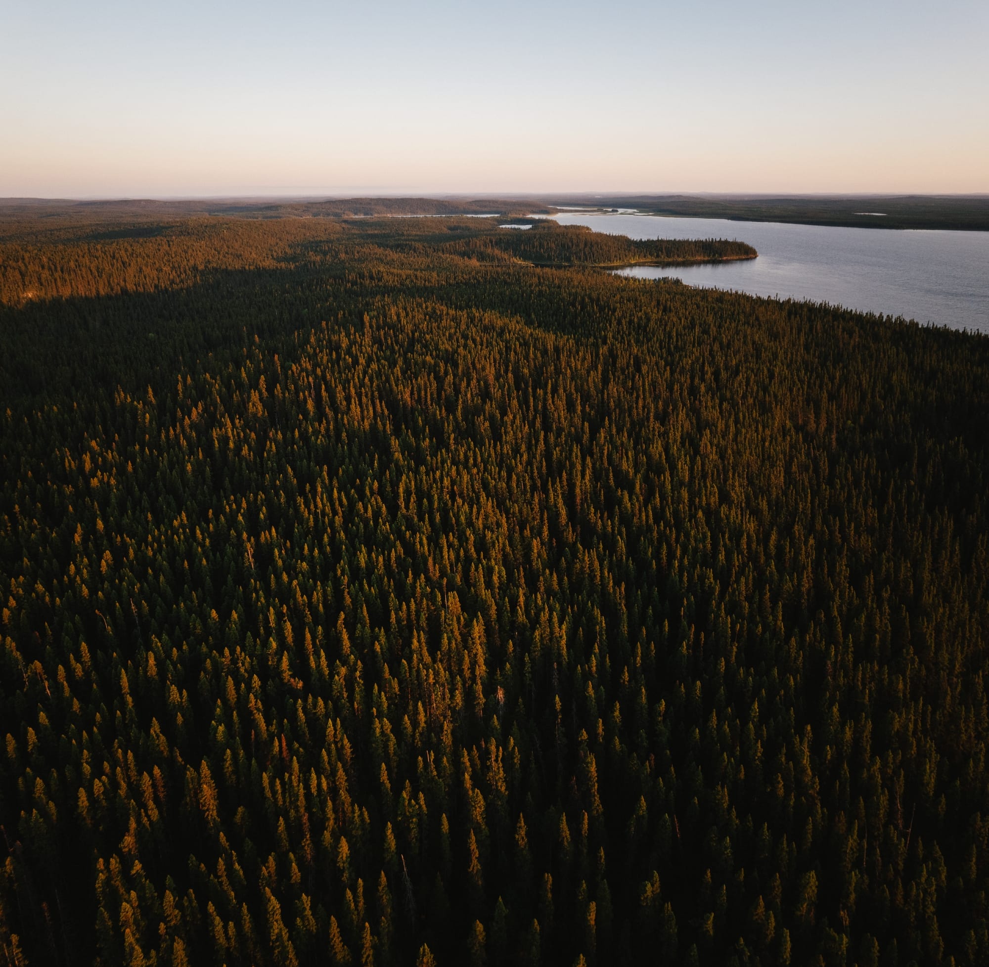 Réserve faunique La Vérendrye