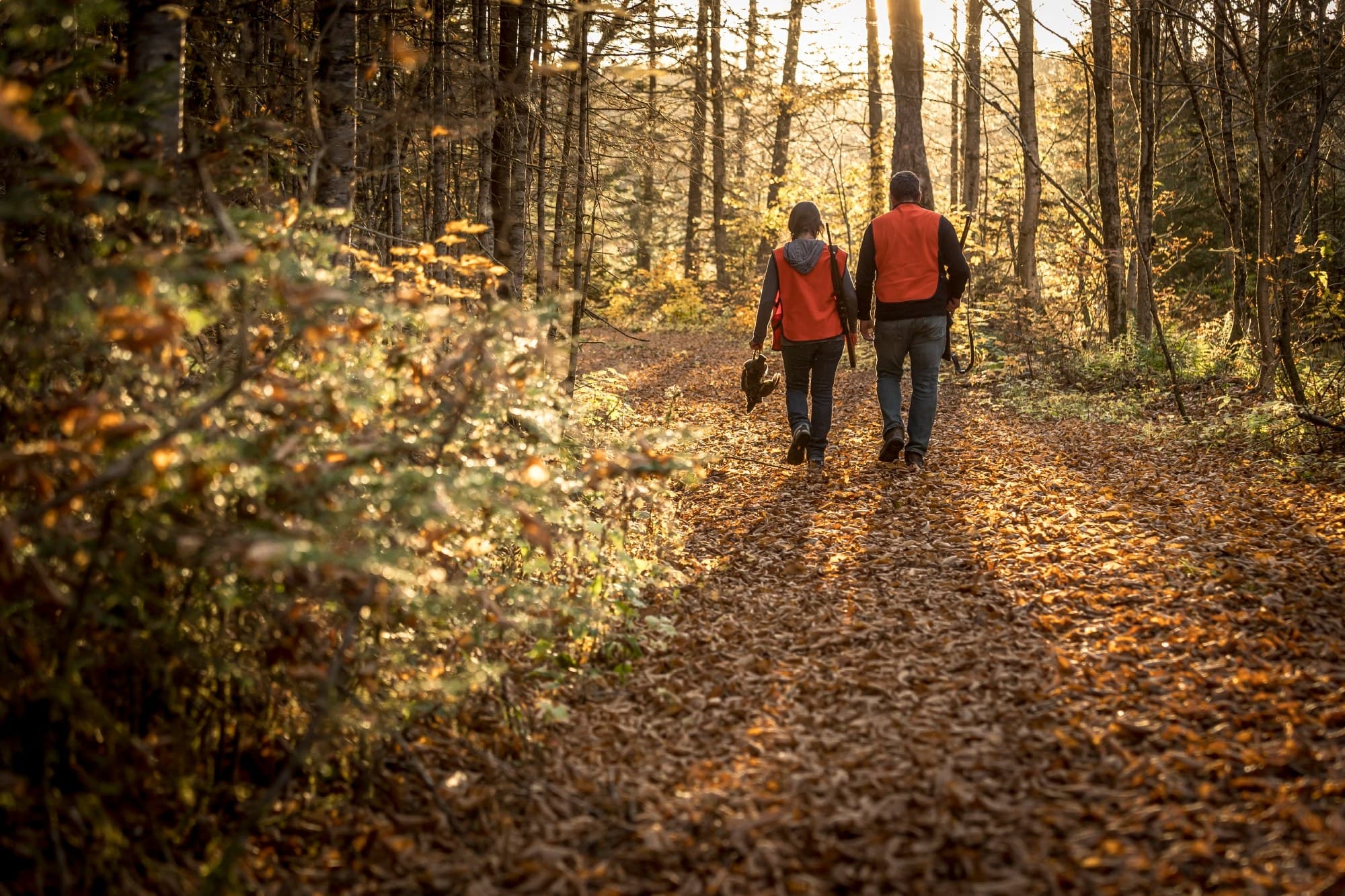 Réserve faunique La Vérendrye