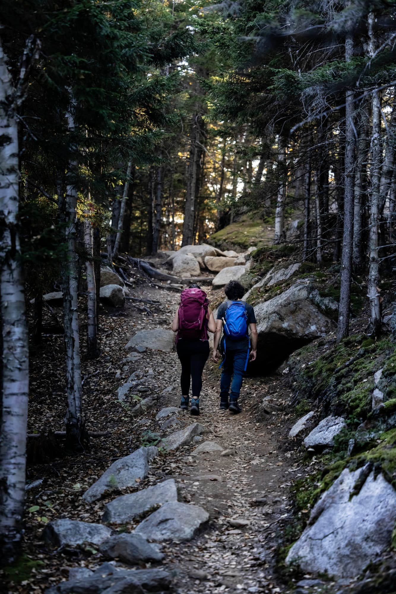 Réserve faunique Mastigouche - Accueil Pins-Rouges