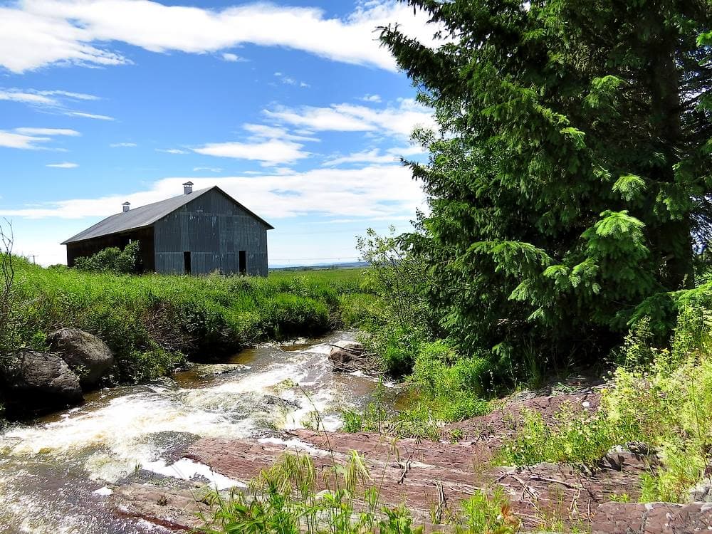 Rivière à Girard - Réserve nationale de faune de la Baie-de-L'Isle-Verte