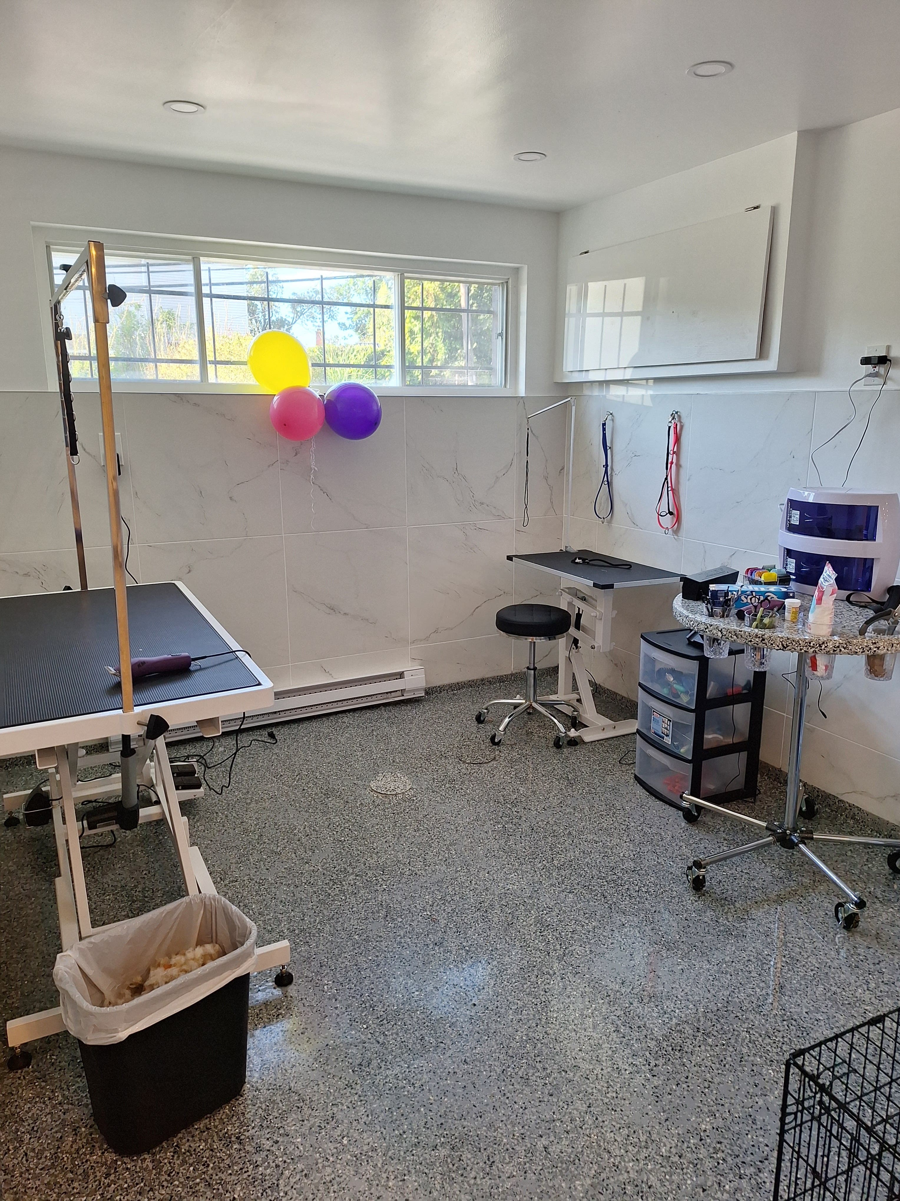 Salon de Toilettage Allqu & Misi