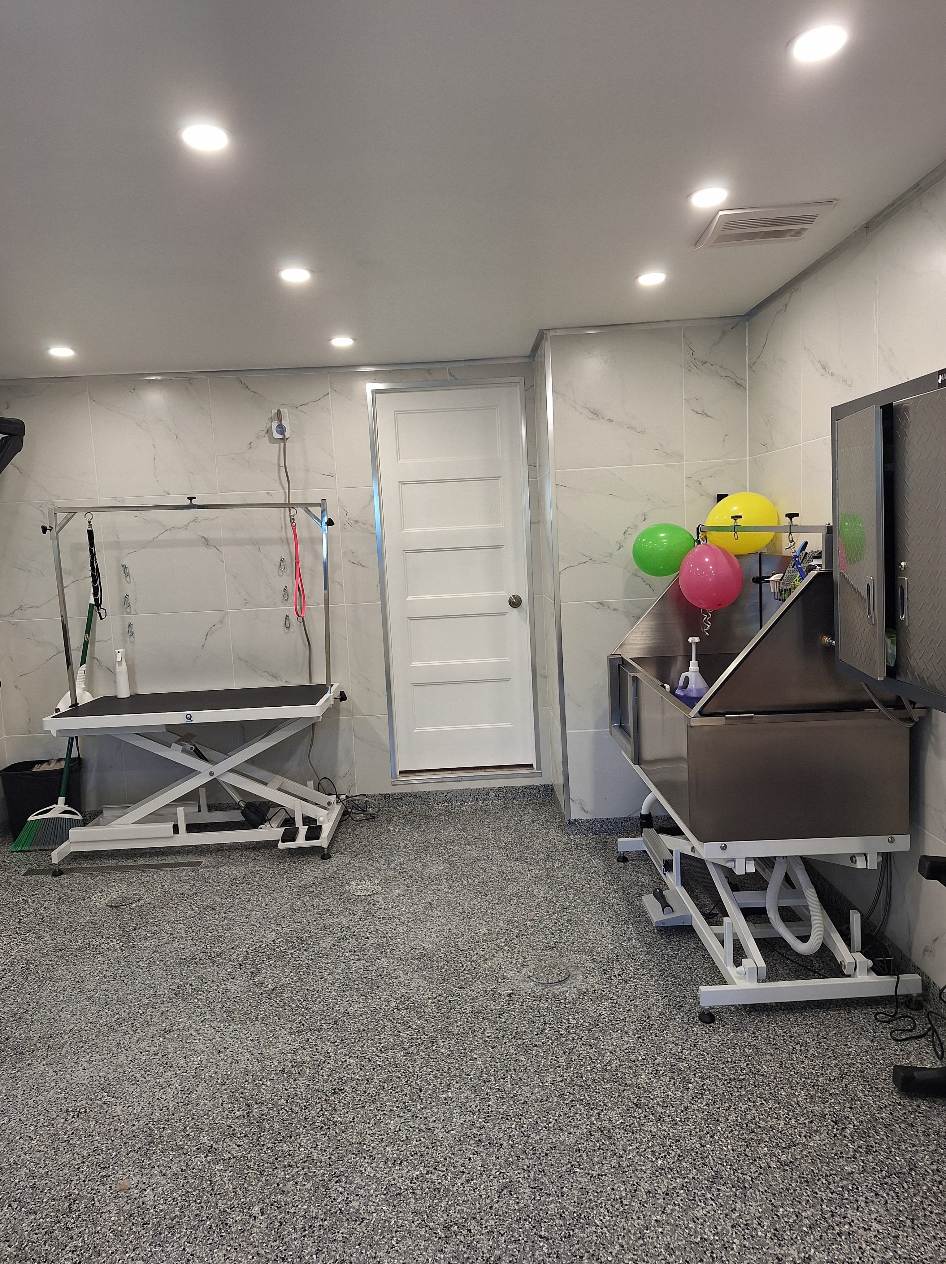 Salon de Toilettage Allqu & Misi