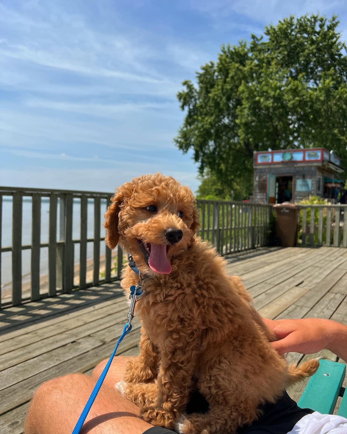 Sea Shack au bord du lac