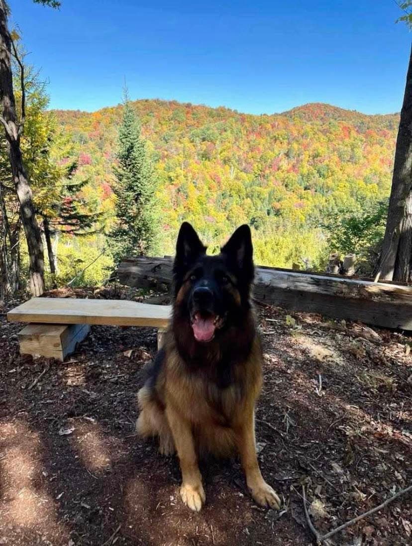 Sniffspot St-Adolphe