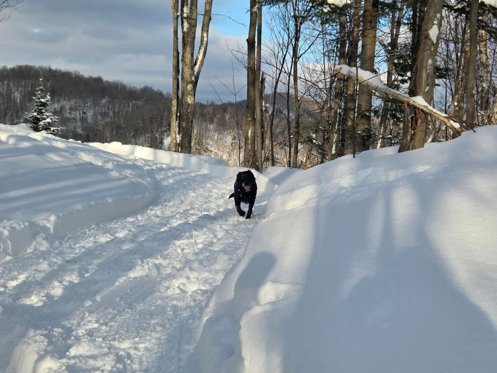 Sniffspot St-Adolphe