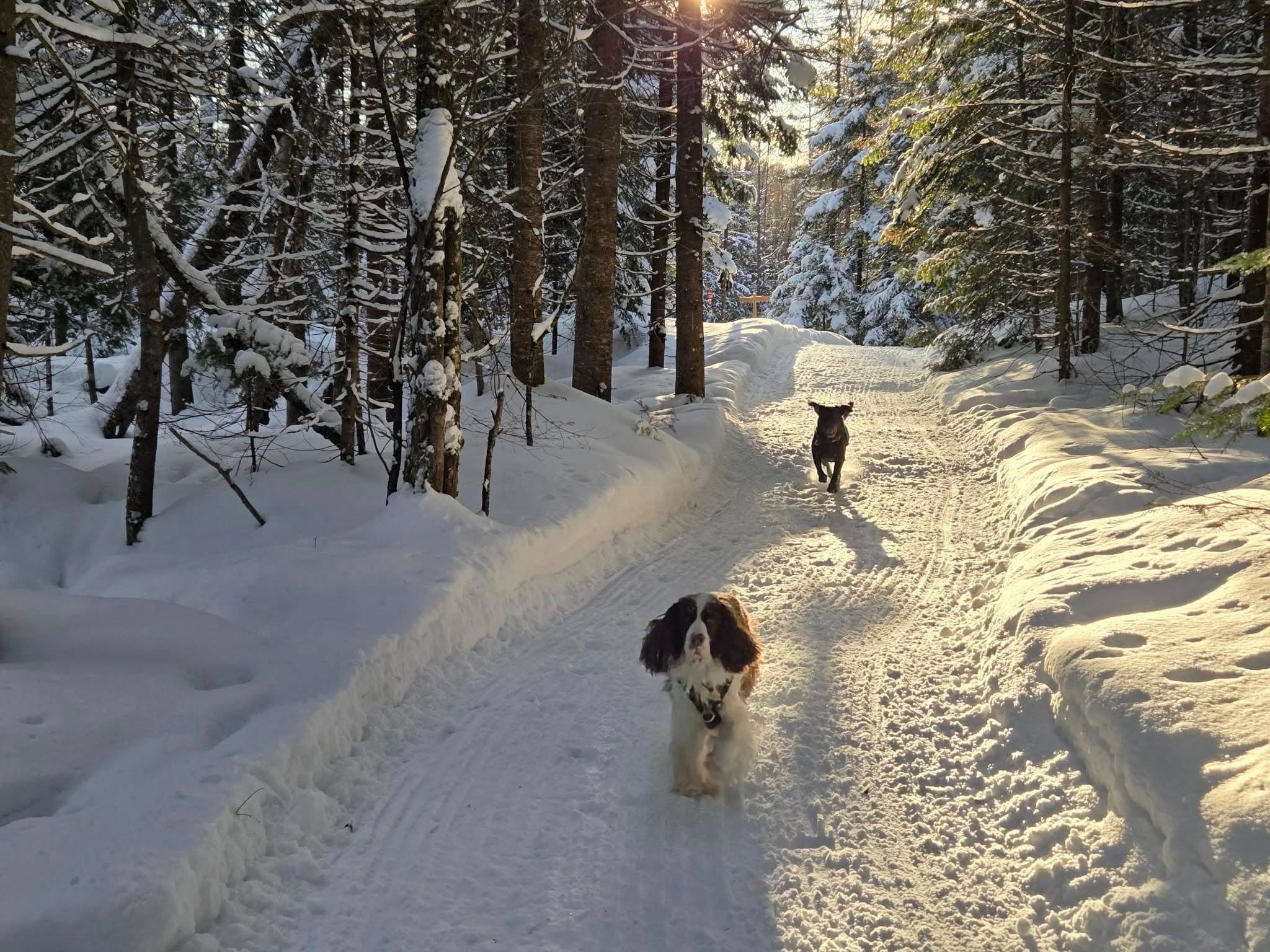 Sniffspot St-Adolphe