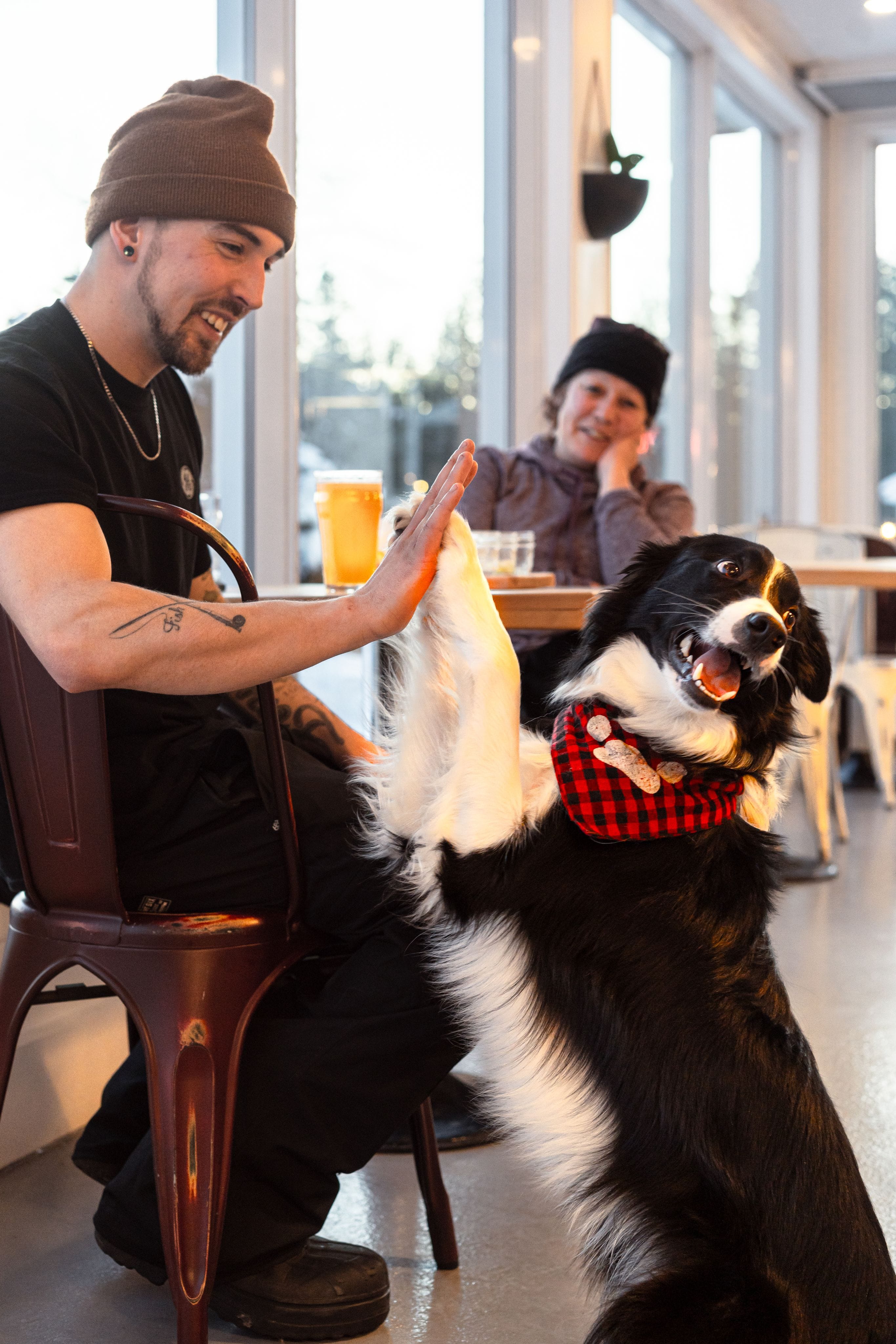 Verso Microbrasserie - Pub du Lac et microbrasserie