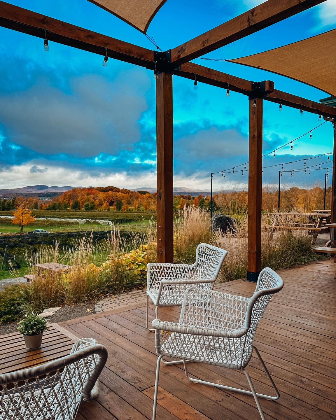 Vignoble Sainte-Pétronille