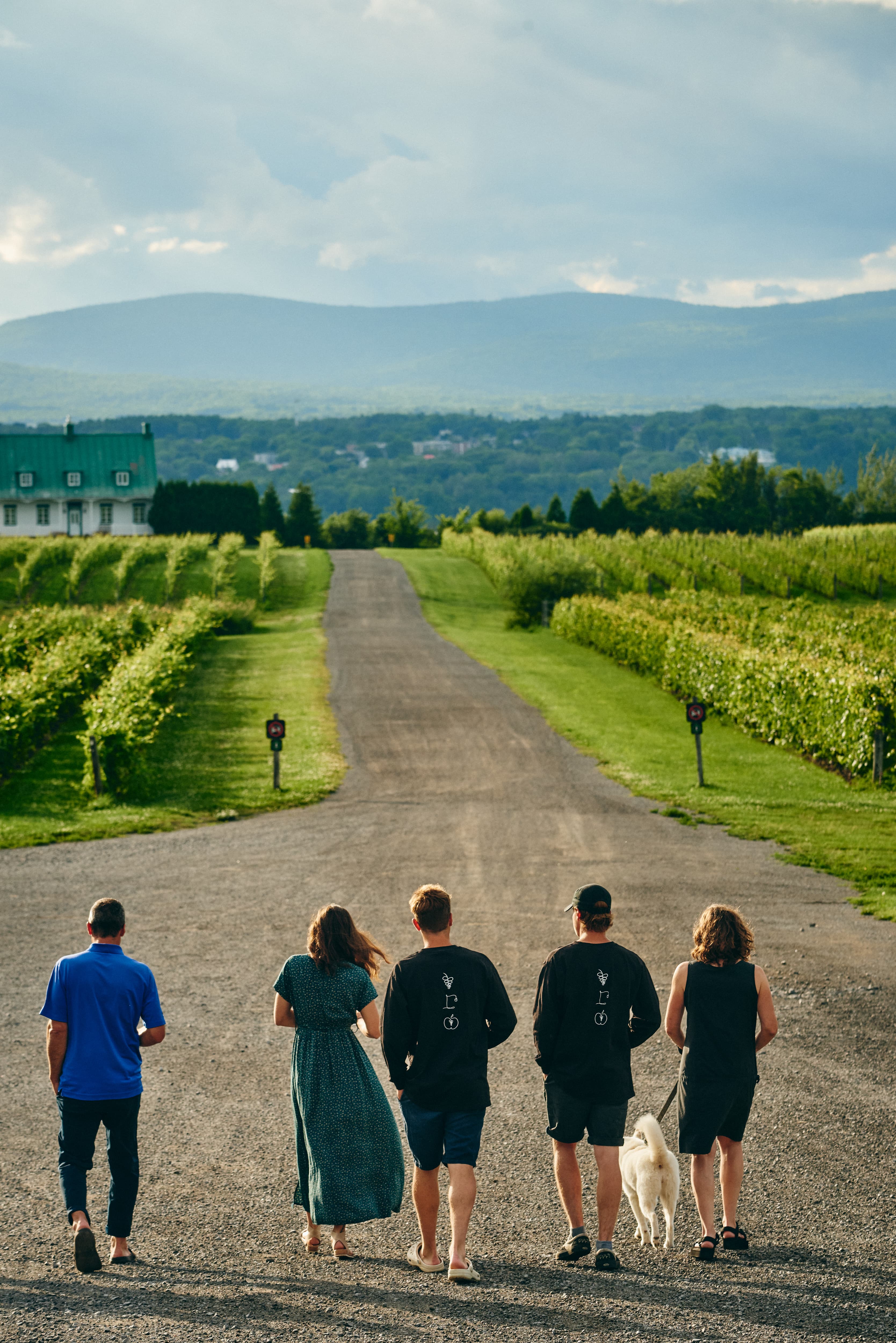 Vignoble Sainte-Pétronille